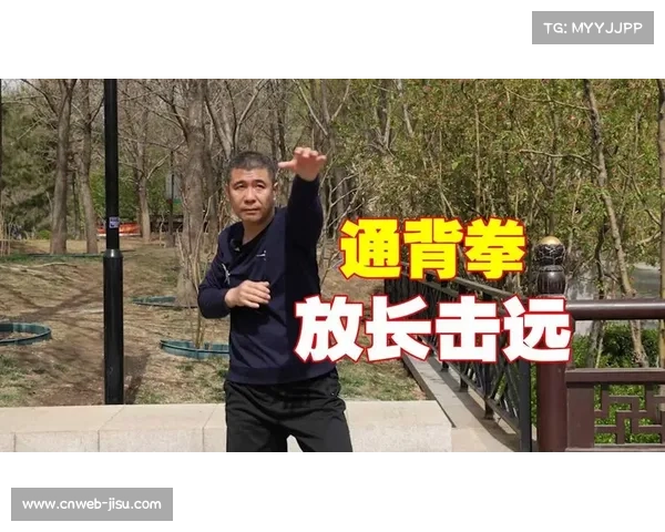 通背拳亮相国际扇耳光赛场，传统武术实战价值引争议